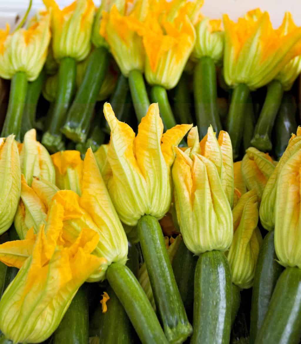 baby zucchini with blossoms