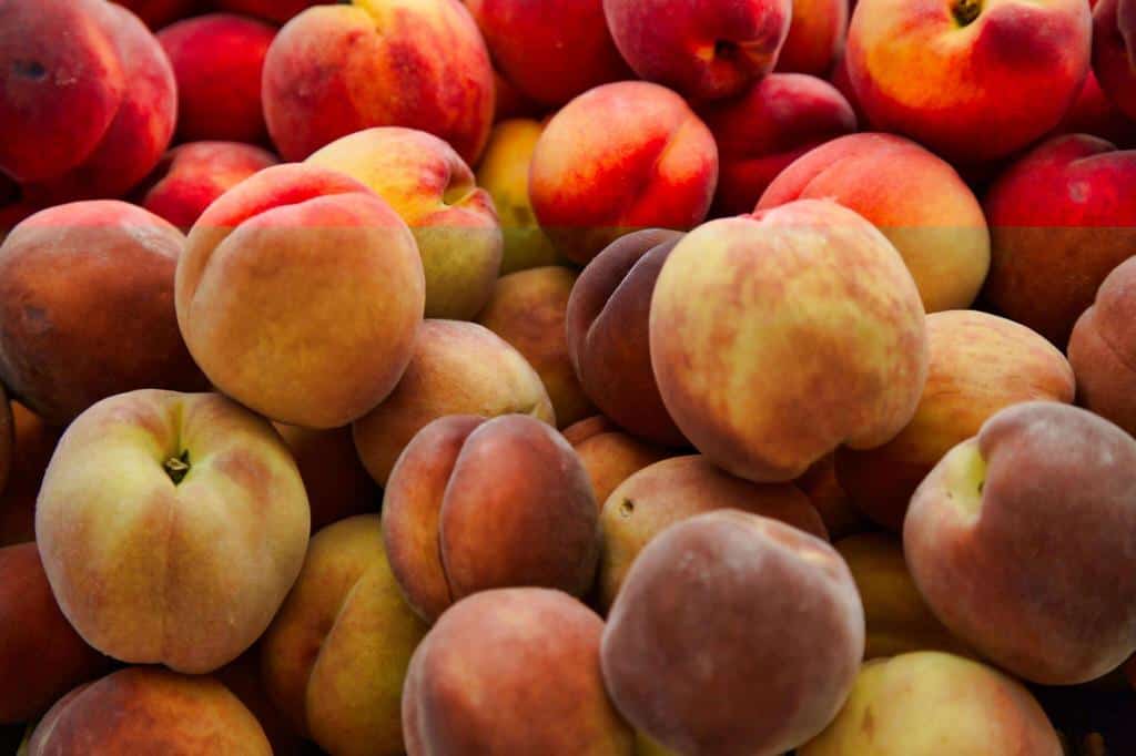 peaches at the farmers market