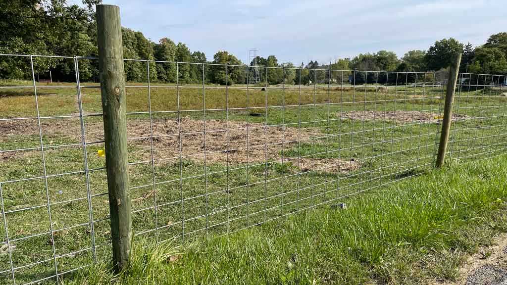 cattle panels hog panels feedlot