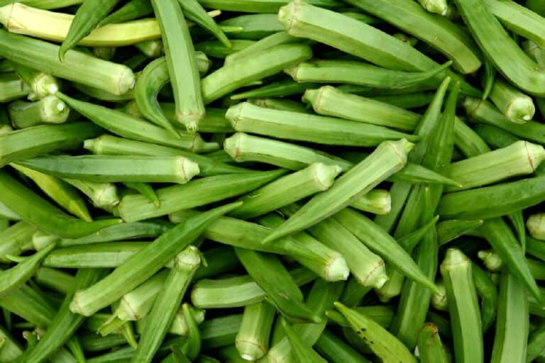 What Type Of Vegetable Is An Okra? Is It a Root Vegetable ...