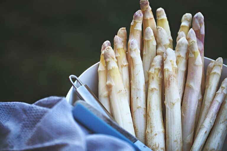 White Asparagus: Origin, Taste, and Nutritional Benefits