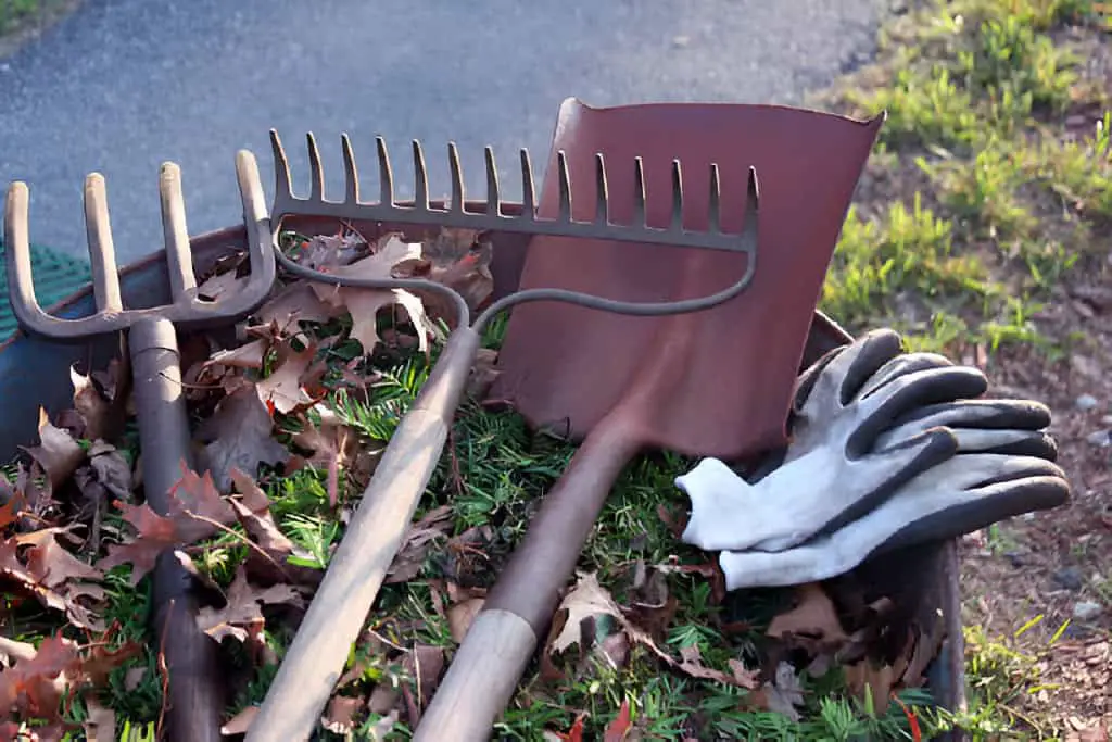 landscaping tools with hoe rake