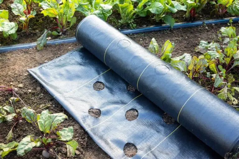 7 Effective Alternatives to Landscape Fabric Pins for Your Garden