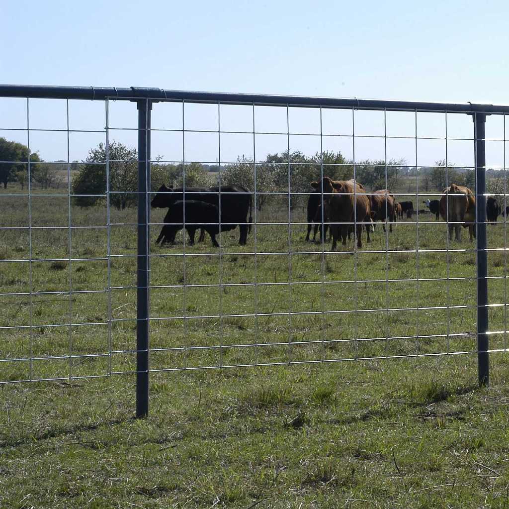 select cattle panel