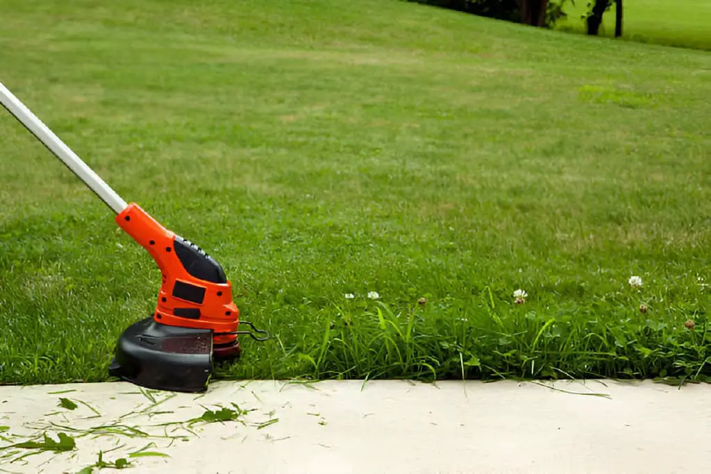 trimming the grass lawn edging