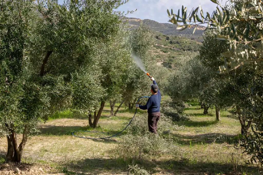 Effective Methods For Spraying Insecticide On Tall Trees FarmingThing Effective Methods For Spraying Insecticide On Tall Trees FarmingThing