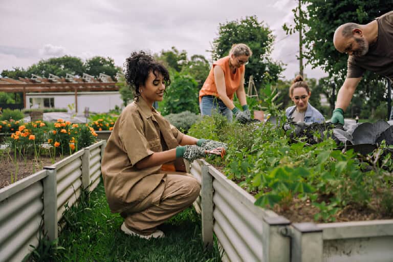 What Are the Environmental Benefits of Community Gardens?