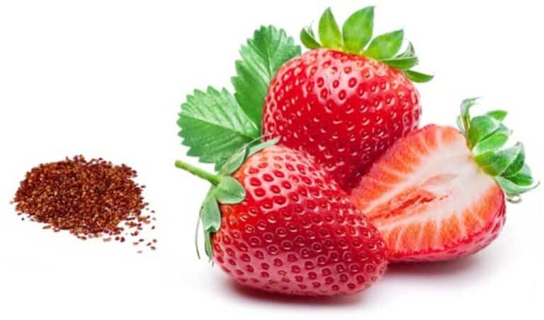 Drying Strawberry Seeds: Step-by-Step Guide for Future Planting