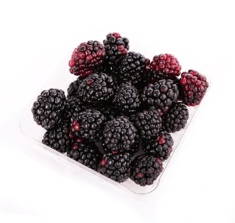 Can You Plant Blackberries From the Store: A Beginner’s Guide