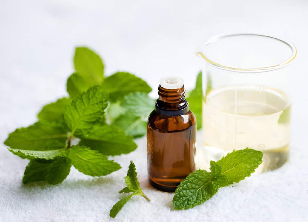 peppermint essential aromatherapy oil