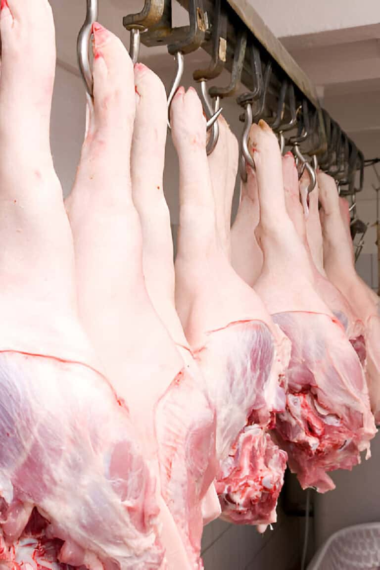 How Long Should a Hog Hang Before Butchering or Processing?