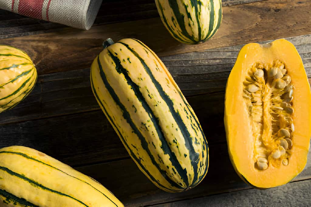 raw organic delicata squash