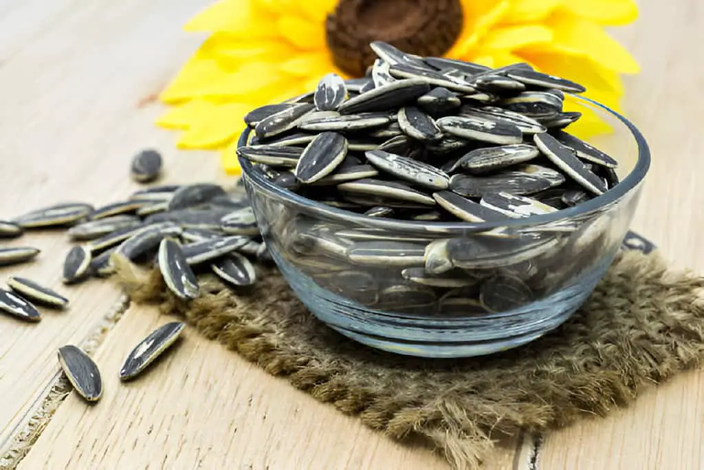 black sunflower seeds helianthus annuus