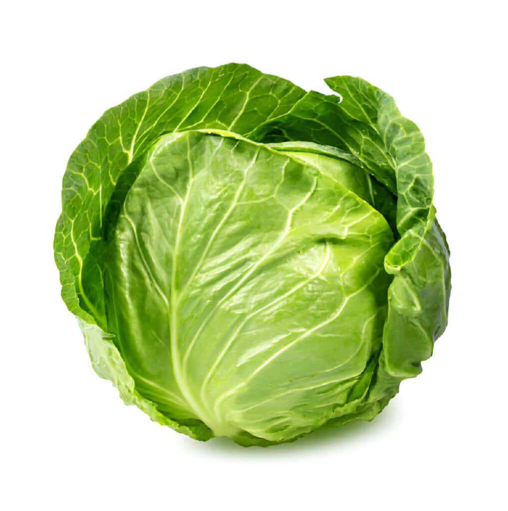 green cabbage