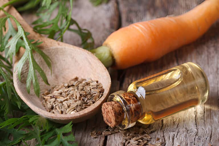 oil of carrot seeds in a bottle