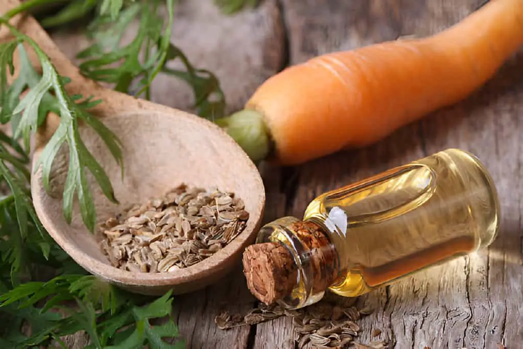 oil of carrot seeds in a bottle