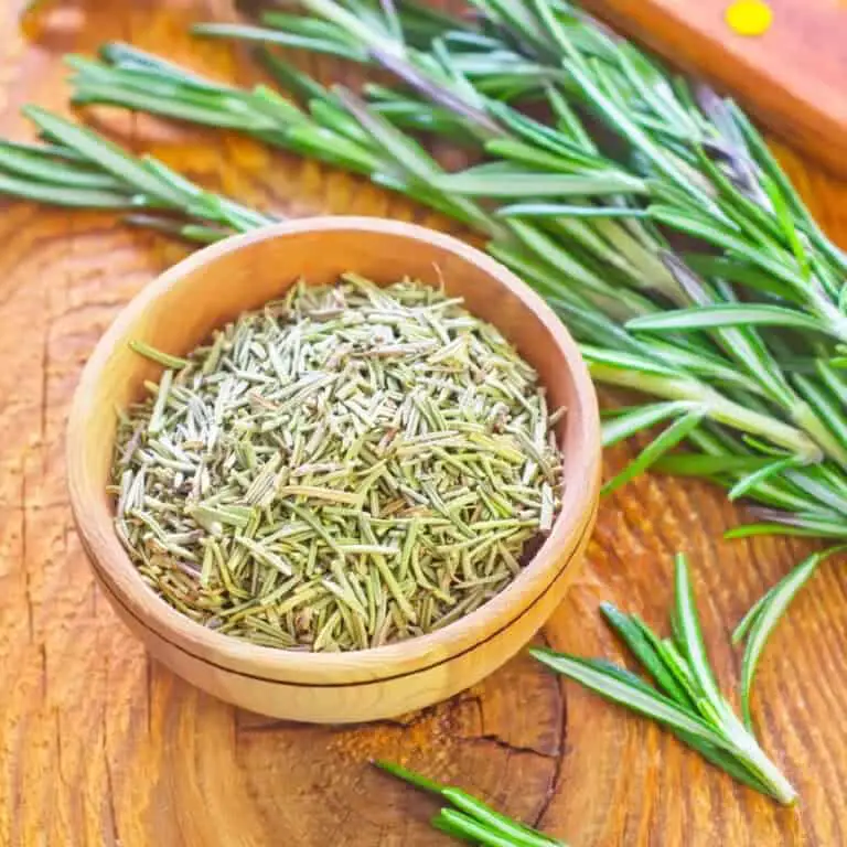 Growing Rosemary from Seed