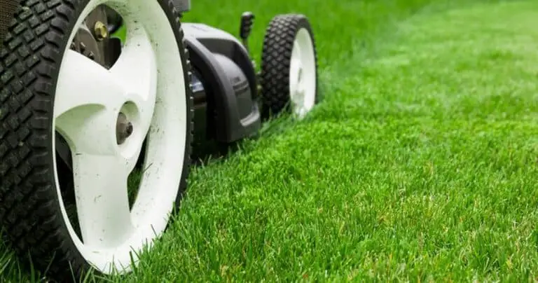 Lawn mower on green grass