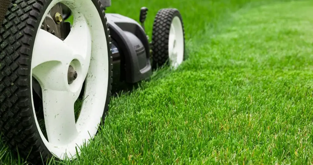 Lawn mower on green grass