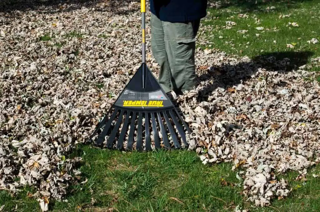 Rakes for Acorns