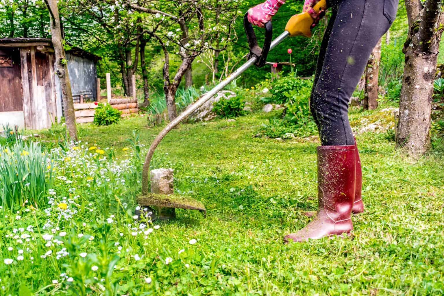 how-to-use-a-weed-wacker-for-edging-my-guide-to-a-polished-landscape