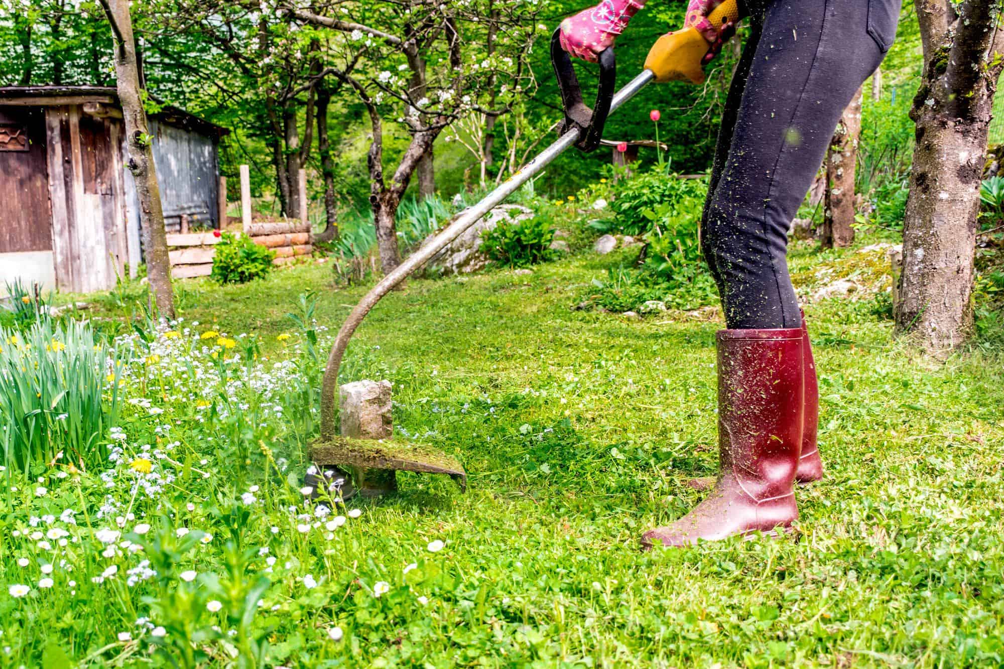 Use a Weed Whacker for Landscaping Chores