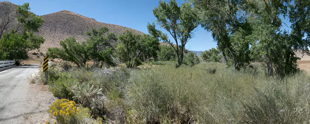 east walker river nevada desert willow