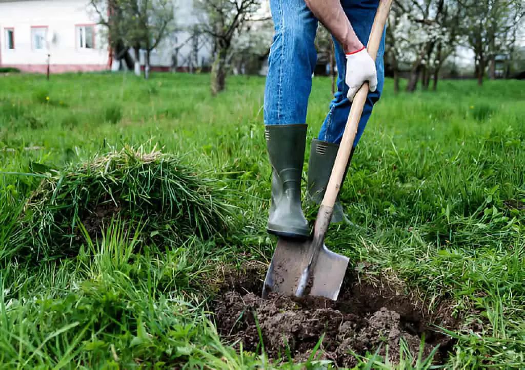 man digs a hole shovel