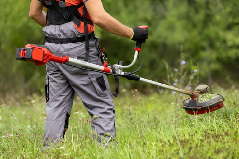 mowing tall grass with electric cordless lawn trimmer