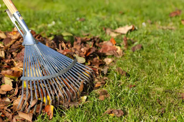 rake leaves on grass in garden