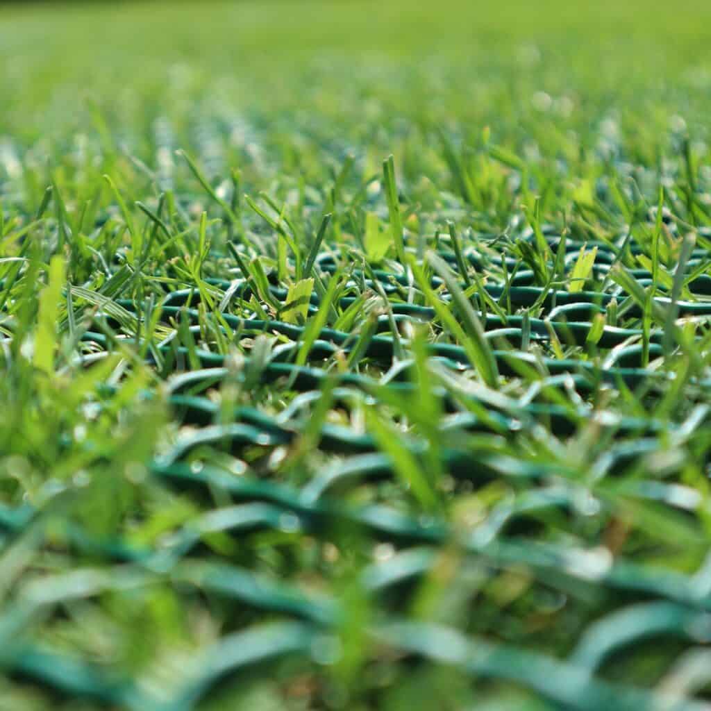 Protective Net On Lawn