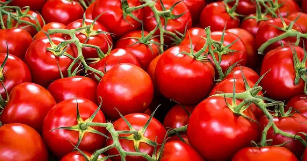 Red Bigger Tomato