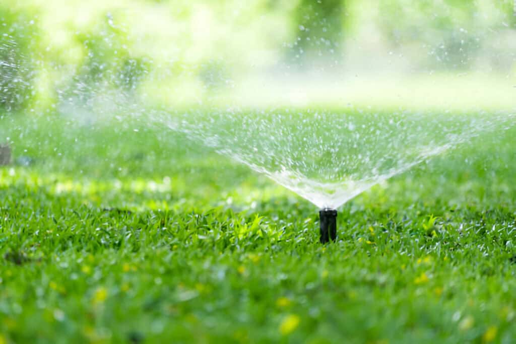 automatic garden lawn sprinkler watering