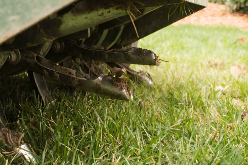 core aeration of a tall fescue lawn