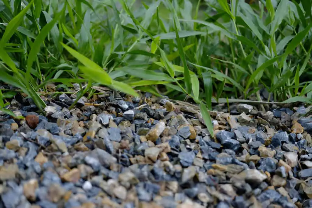 grass field on gravel ground