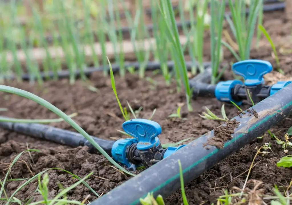 Types of Drip Irrigation system