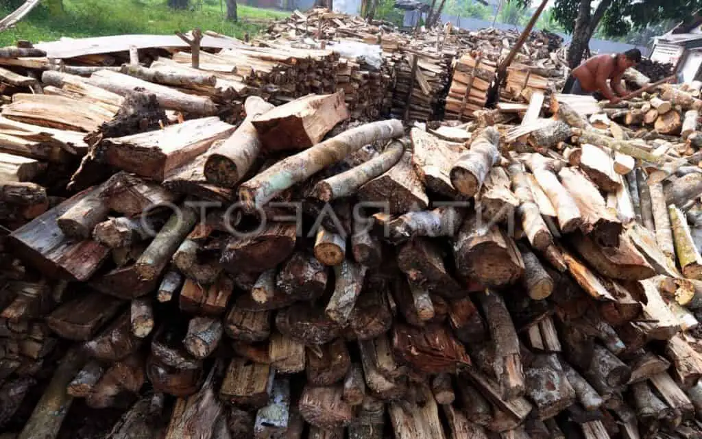 pile of firewood