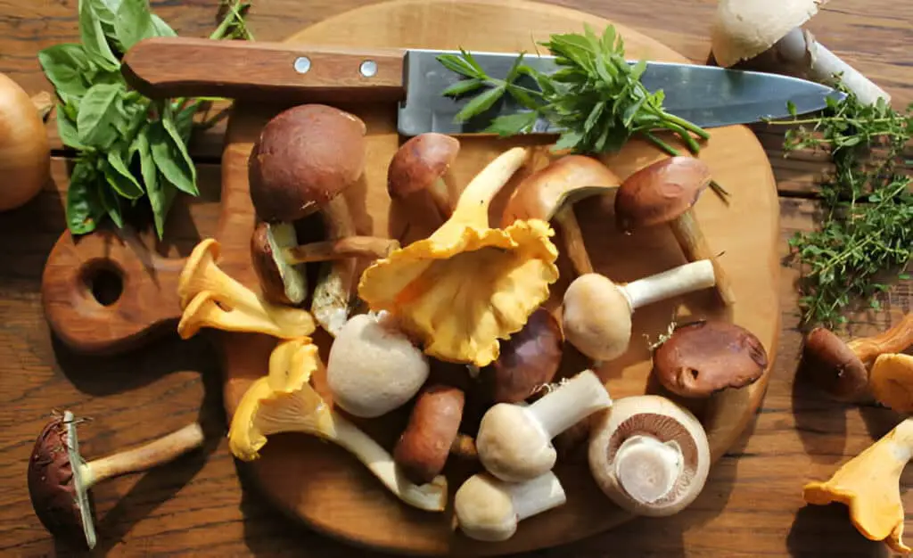 Gourmet Mushrooms