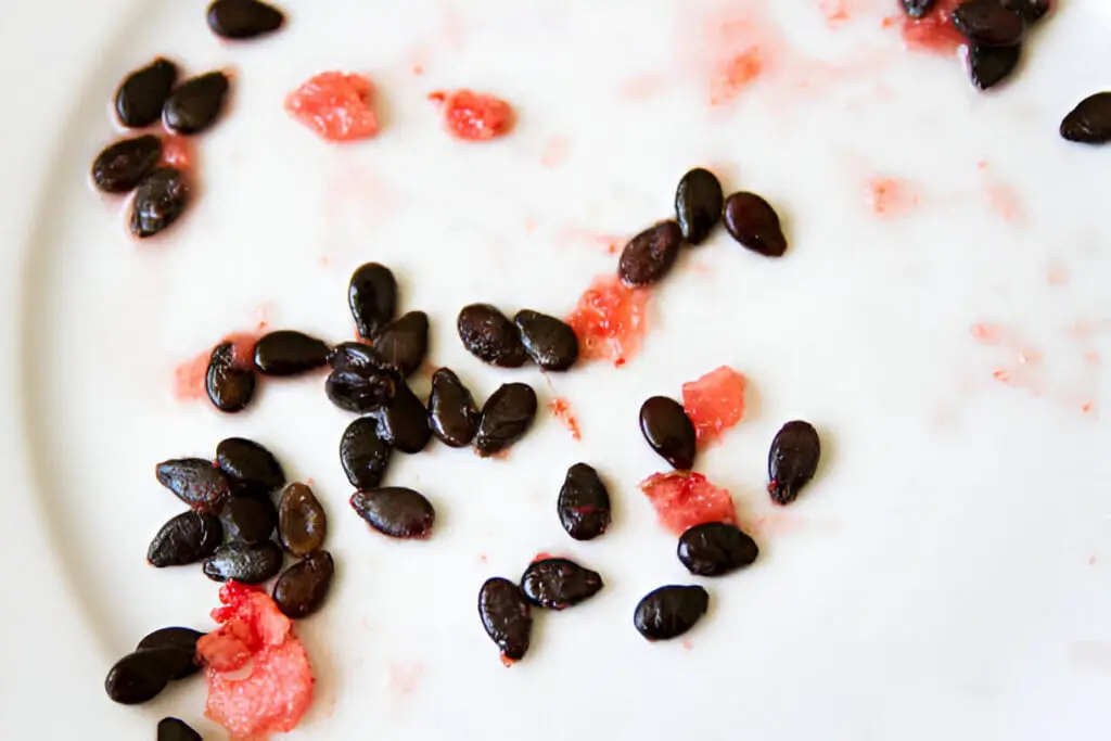 seeds in watermelon plate