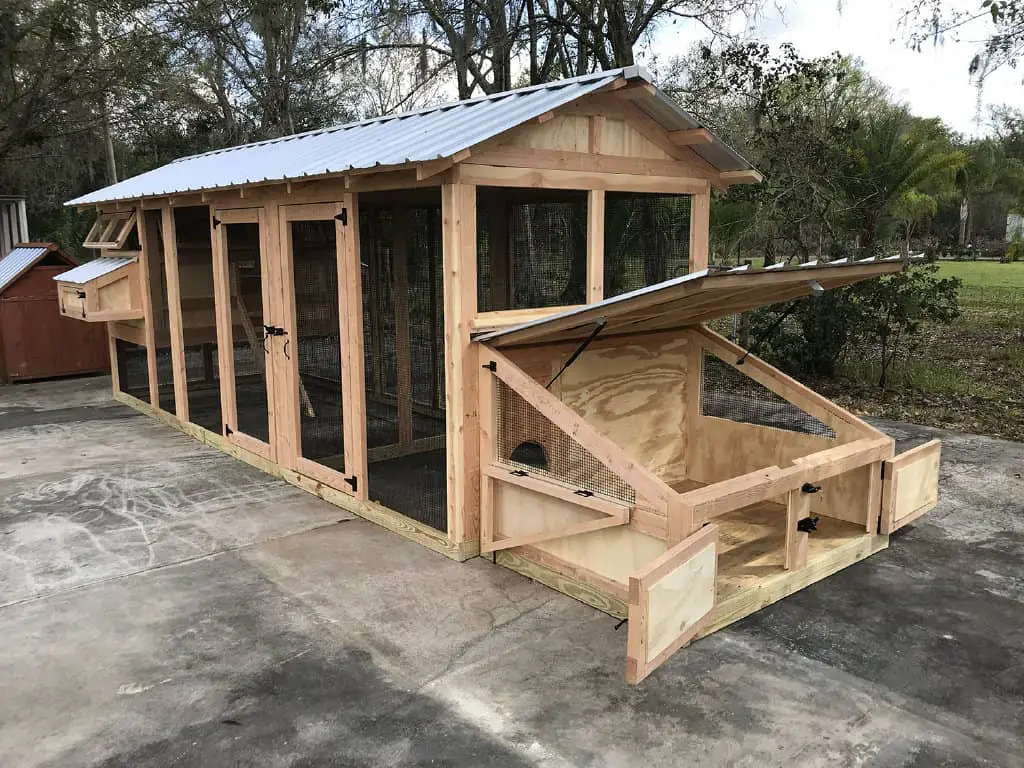 Coop with duck house