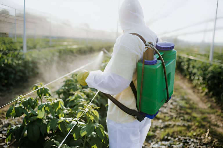 agricultural worker takes care herbicides