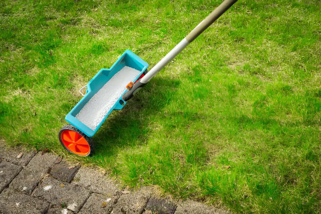 fertilize lawn detail of fertilizer spreader on green lawn