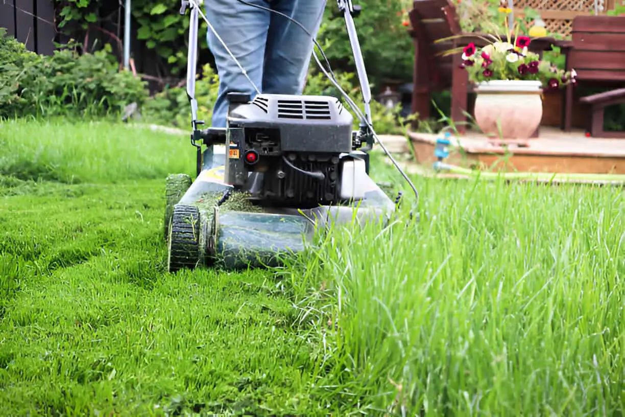 lawnmower cutting tall grass