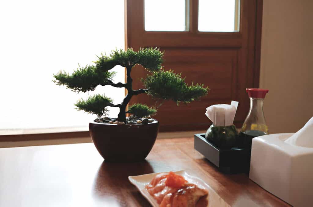 set of flavoring japanese food with bonsai