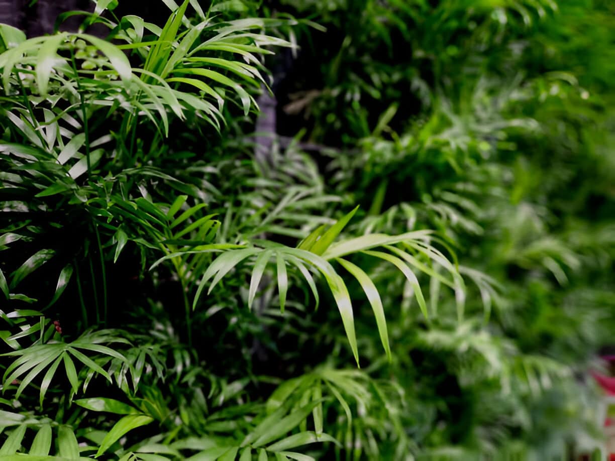 vertical green walls refresh a boring interior pocket shaped