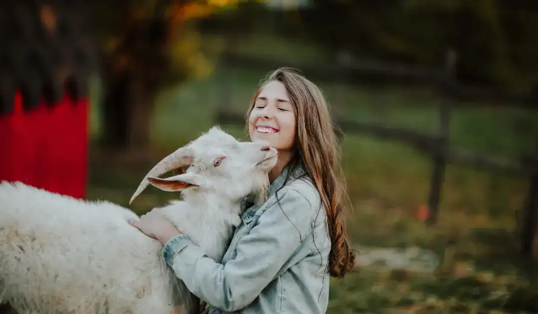hugging goat affection