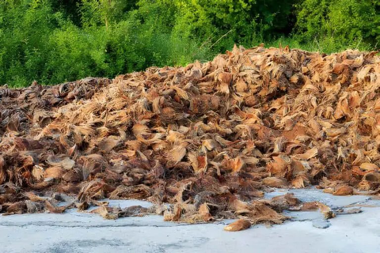 piles of dried coconut shells