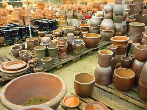 containers pots plant outdoors